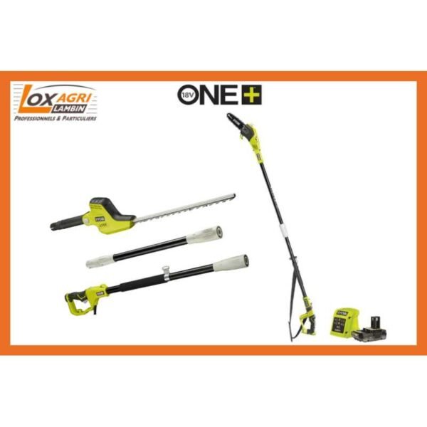 Pack 2-en-1 Élagueuse & Taille-haie sur perche RPP1820PT1845-120